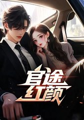 官途红颜阅读小说阅读