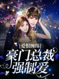 爱恨缠绵：豪门总裁强制爱小说阅读