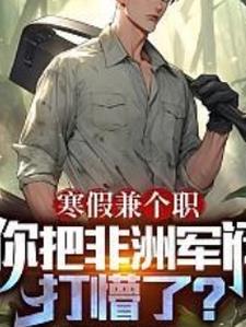 寒假兼职你把非洲军阀打懵了小说阅读