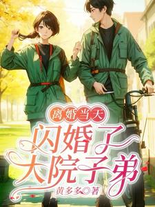 离婚当天，闪婚了大院子弟阅读