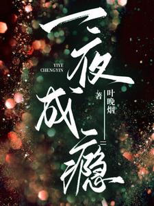 一夜成瘾阅读小说阅读