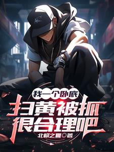 我一个卧底，扫黄被抓很合理吧阅读