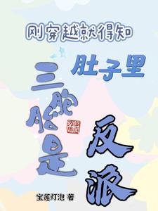 刚穿越就得知肚子里三胞胎是反派阅读小说阅读