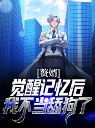 赘婿觉醒记忆后我不当舔狗了叶无锋小说阅读