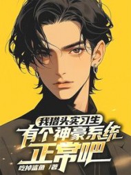 猎头实习生，有个神豪系统正常吧阅读小说阅读