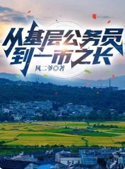 从基层公务员到一市之长小说阅读