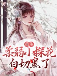 重生柔弱小探花白切黑了