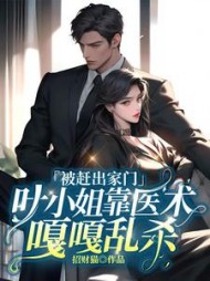 被赶出家门，叶小姐靠医术嘎嘎乱杀小说阅读