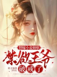 替嫁小妾娇软，禁欲王爷破戒了阅读