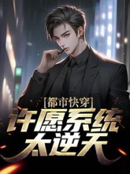 都市快穿许愿系统太逆天