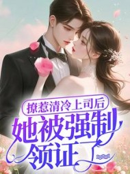 时也霍铭川的小说阅读