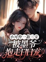 小可怜一胎三宝被墨爷抱走日日宠小说阅读