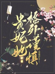 贵妃她格外谨慎阅读