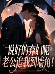 说好的弃妇呢老公追我到墙角颜筝小说阅读