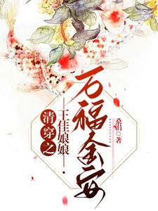 清穿之王佳娘娘万福金安阅读