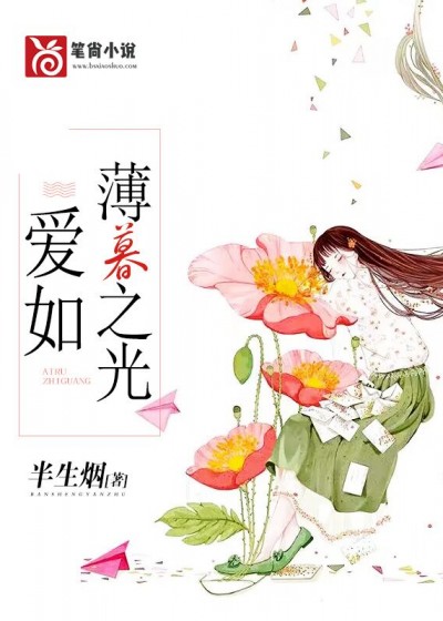 爱如薄暮之光小说阅读