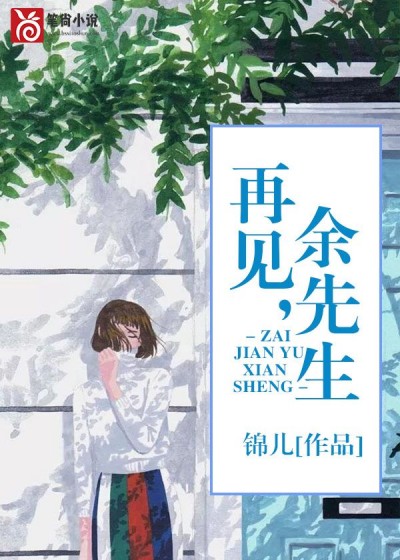 再见，余先生小说阅读