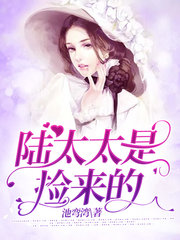 陆太太是捡来的(现言)