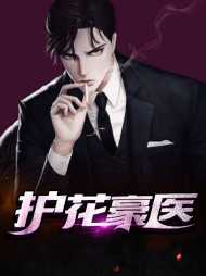 护花豪医丁锋雷亦婷