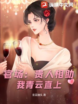 官场：贵人相助，我青云直上小说阅读