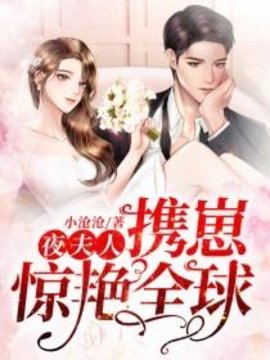夜夫人携崽惊艳全球小说阅读