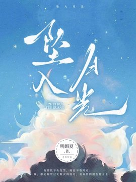 珠玑小说网 坠入月光