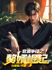 官婿当道吴峰阅读小说阅读