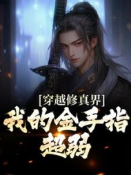 穿越修真界我的金手指超弱林修远