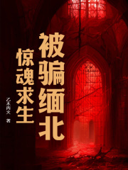 被骗缅北惊魂求生阿龙东子