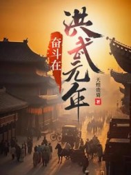 奋斗在洪武元年杨少峰