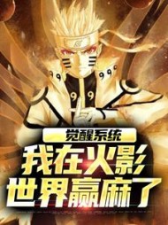 觉醒系统我在火影世界赢麻了夜枫