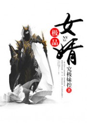 极品女婿秦宇庄紫妍