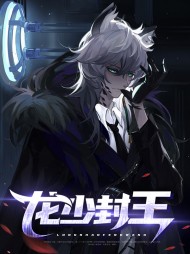 龙少封王徐北凉苏芷柔