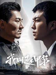 电视剧我叫赵甲第原著(烽火戏诸侯)