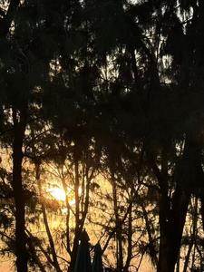 青衿之志，今已达愿(双楠)阅读