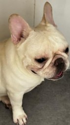 世间再无钱多多阅读