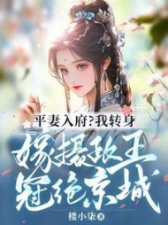 平妻入府我转身嫁摄政王冠绝京城完整版