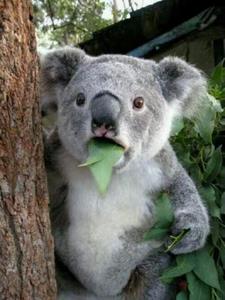 重生回到填高考志愿之前阅读