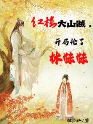 红楼大山贼,开局抢了林妹妹精彩