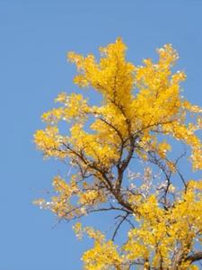 “追妻火葬场能追回来吗？”后续+番外