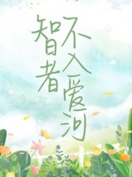 智者不入爱河陈念徐晏清阅读