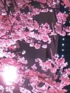 穿越到了女频+后续