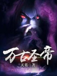 万古圣帝叶长枫