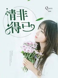 情非得已文茹蒋正涛阅读无弹窗