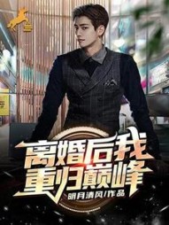 离婚后我重归巅峰萧何
