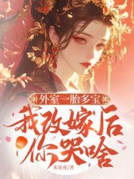 外室一胎多宝，我改嫁后你哭啥最新