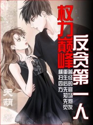 权力巅峰：反贪第一人主角林东凡阅读