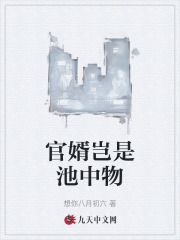 官婿岂是池中物阅读