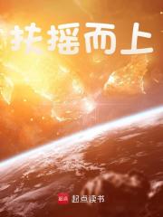 扶摇而上王国华阅读