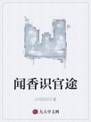 闻香识官途阅读